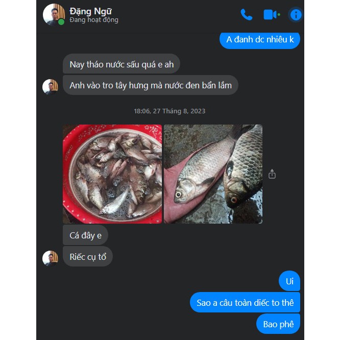 Mồi câu cá Siêu Diếc chuyên dùng câu cá diếc, chép sông tự nhiên