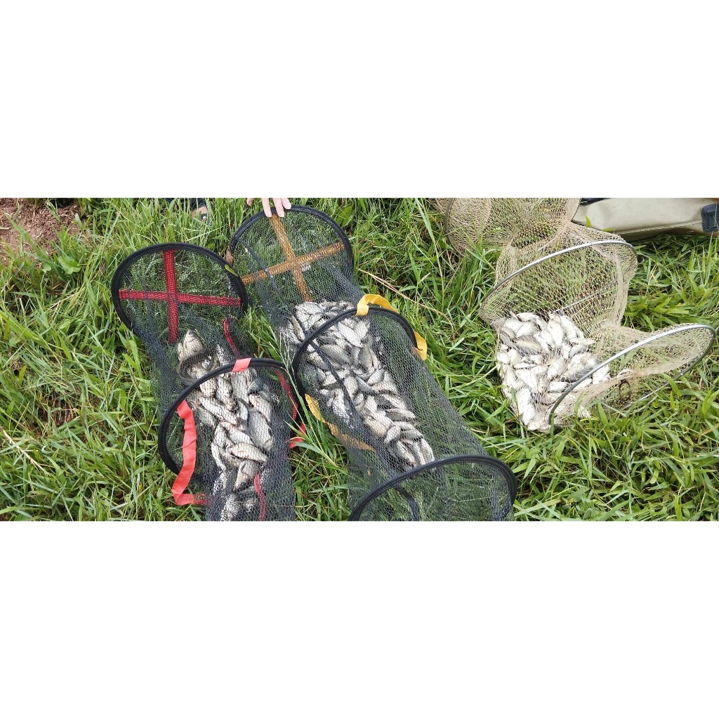 Mồi câu cá Siêu Diếc chuyên dùng câu cá diếc, chép sông tự nhiên