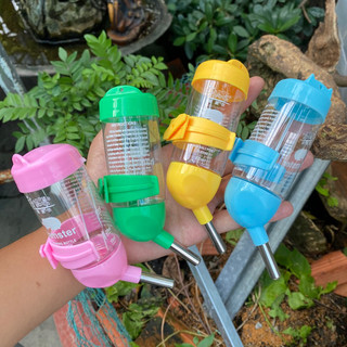 Bình Nước Hamster Đầu Bi 80ml Chính Hãng