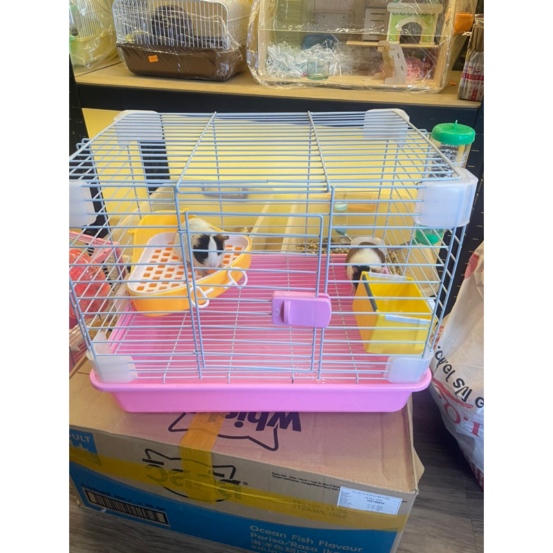 Lồng sắt sơn tĩnh điện full phụ kiện y hình cho thỏ bọ