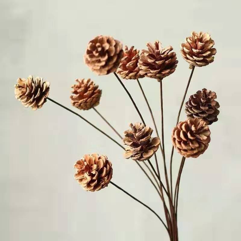 Set 5 Nhánh Quả Thông Có Cành Trang Trí Noel Giáng Sinh