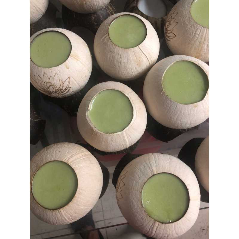 Rau câu trái dừa