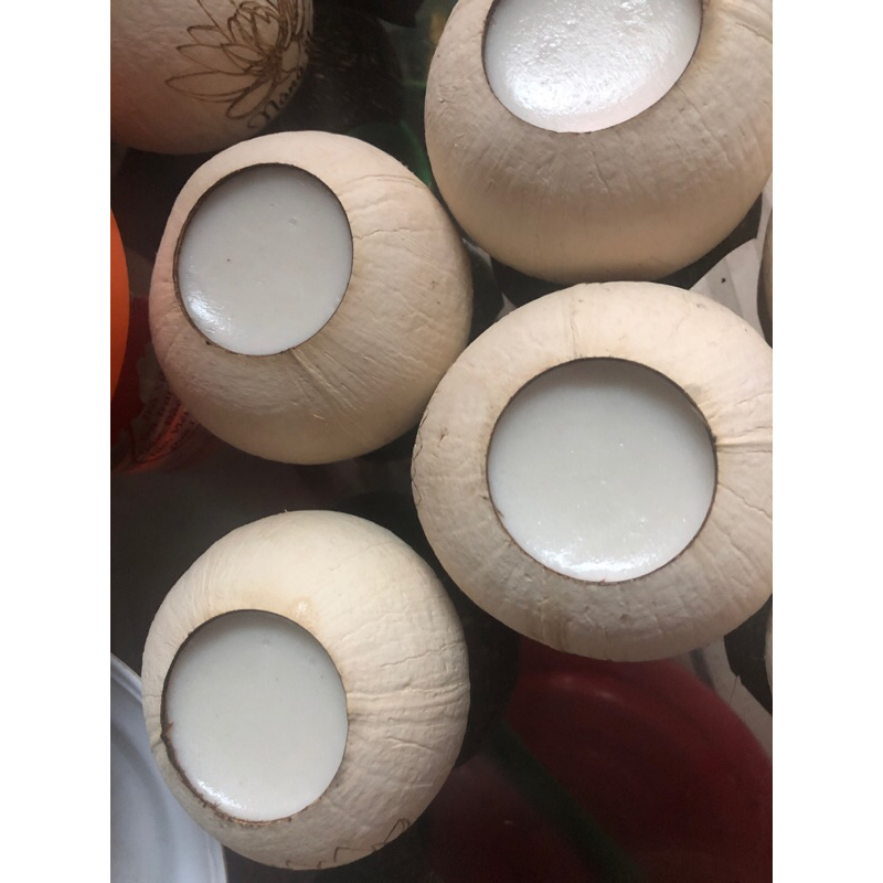 Rau câu trái dừa