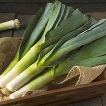 Hạt giống Tỏi Tây F1 1gram  hàng chính hãng công ty đóng gói