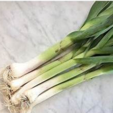 Hạt giống Tỏi Tây F1 1gram  hàng chính hãng công ty đóng gói