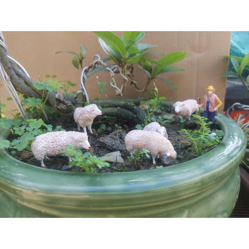 🔥Mô Hình Cừu🔥