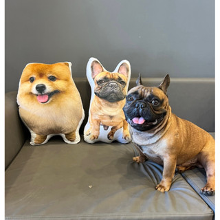 Gối tạo hình chó mèo 50cm Gấu bông theo yêu cầu 50cm