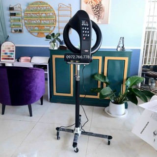 Máy kích nhiệt đĩa đảo đứng