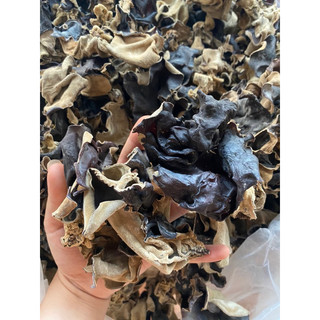 Mộc nhĩ rừng bắc kạn loại 1 100g