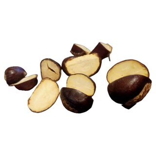 Combo 2 kg hạt dẻ sống Sapa