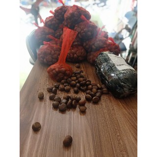 Combo 2 kg hạt dẻ sống Sapa