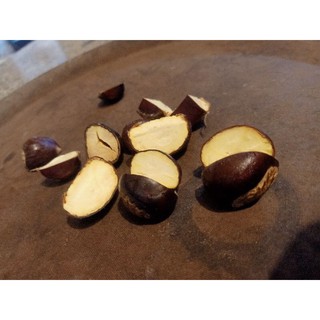 Combo 2 kg hạt dẻ sống Sapa