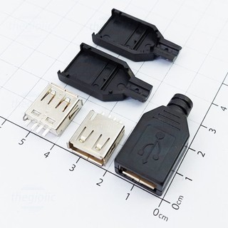 Đầu Jack USB A Đực