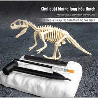 Đồ Chơi Đào Hoá Thạch Khủng Long Khảo Cổ Khám Phá Vui Nhộn Cho Bé