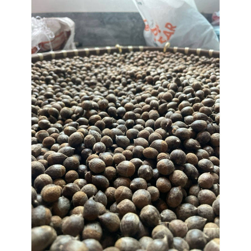 1kg hạt 🌰 dẻ rừng ,Hạt dẻ thóc Hải Dương