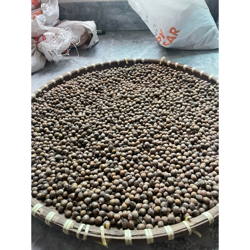 1kg hạt 🌰 dẻ rừng ,Hạt dẻ thóc Hải Dương