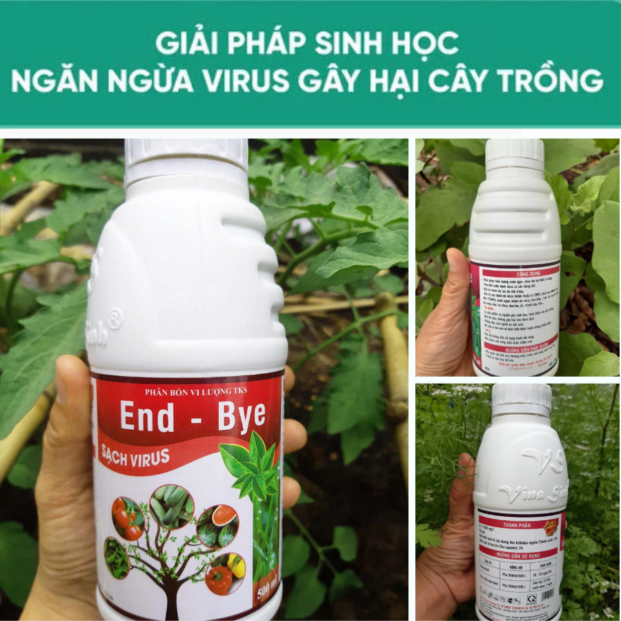Bộ Đôi Trừ Khảm Lá.Xoăn Ngọn, Chùn Đọt Do Virus Tất Cả Cây Trồng ENDBYE- ANTI CMV 3IN1
