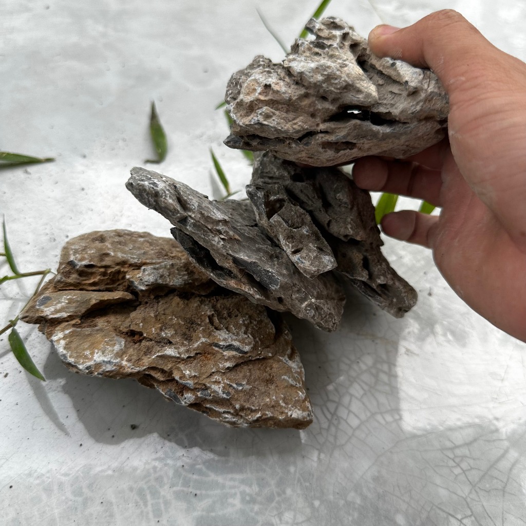 Đá vỉa trang trí thủy sinh 1kg