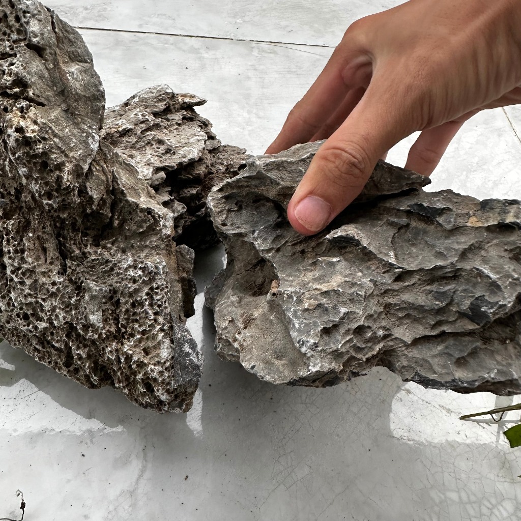 Đá vỉa trang trí thủy sinh