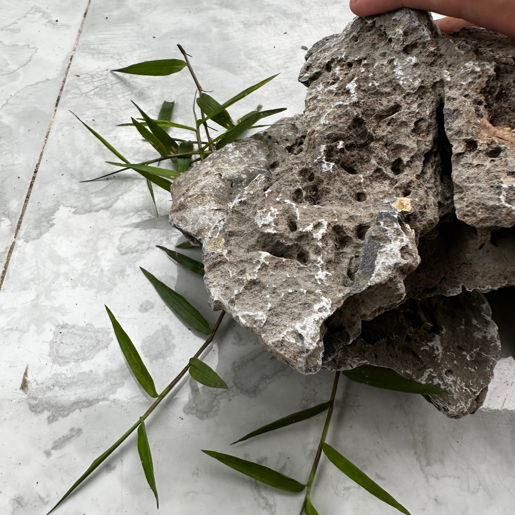 Đá vỉa trang trí thủy sinh