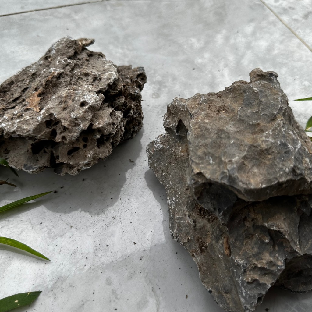 Đá vỉa trang trí thủy sinh