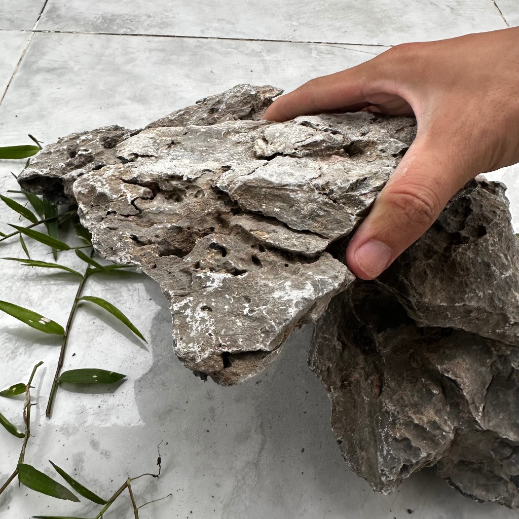 Đá vỉa trang trí thủy sinh