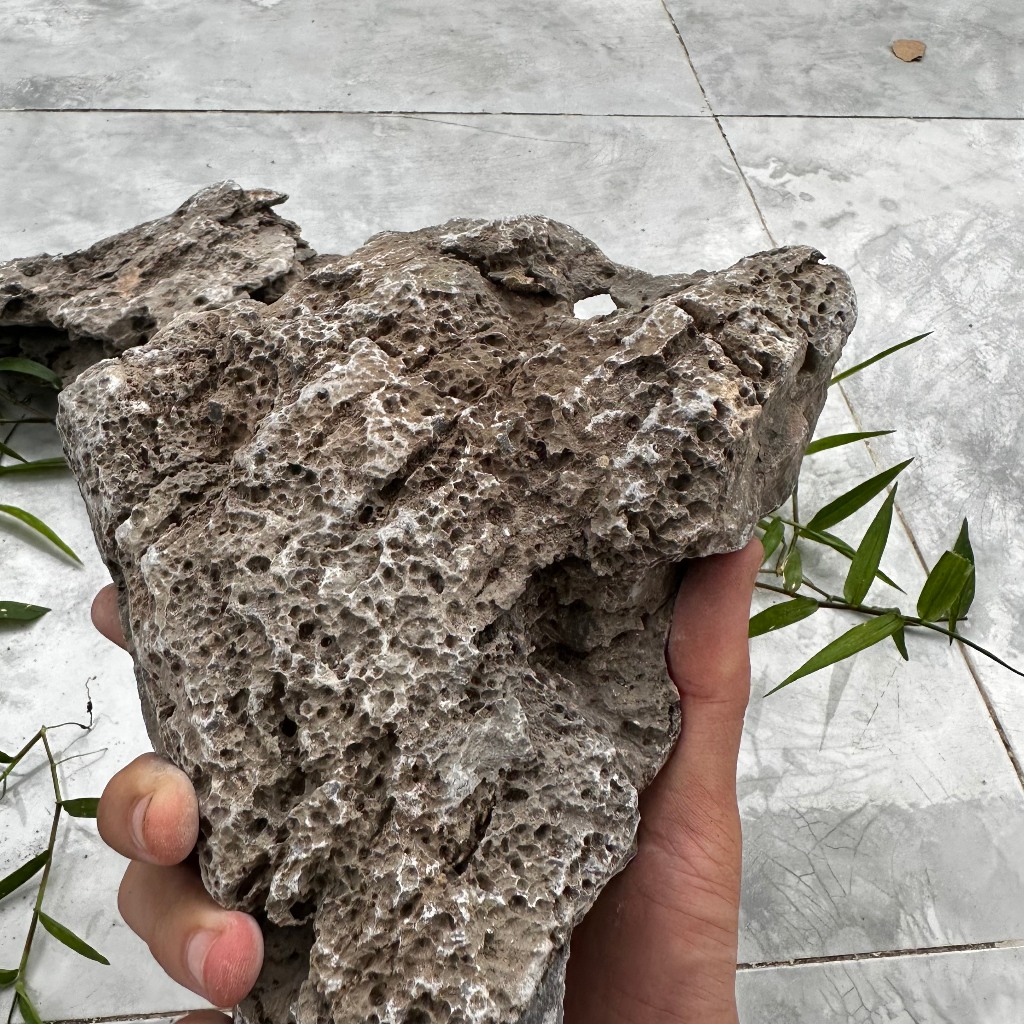 Đá vỉa trang trí thủy sinh