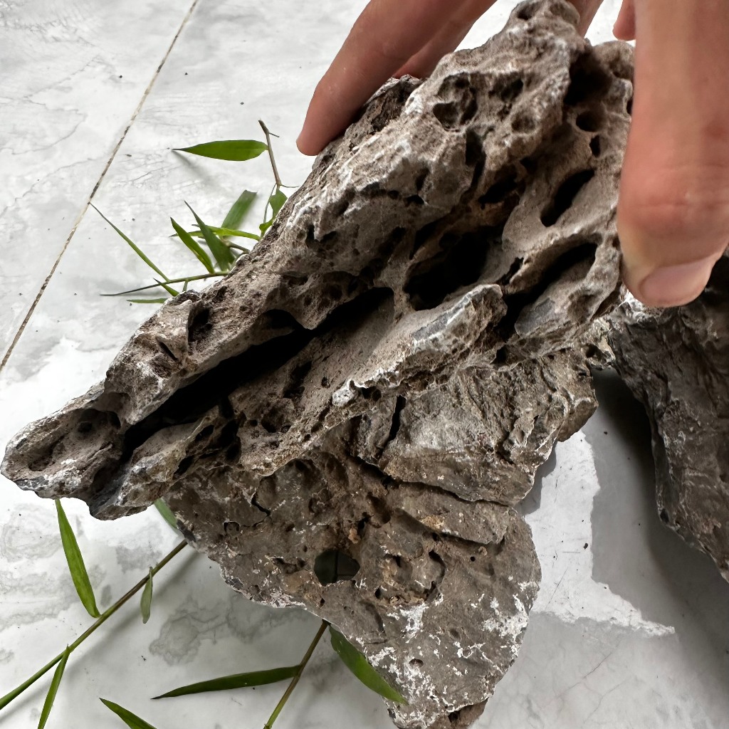 Đá vỉa trang trí thủy sinh