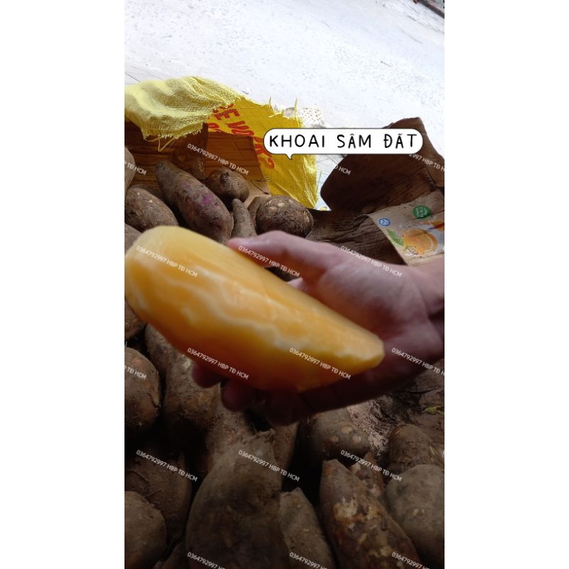 COMBO 4KG KHOAI SÂM ĐẤT VIỆT NAM