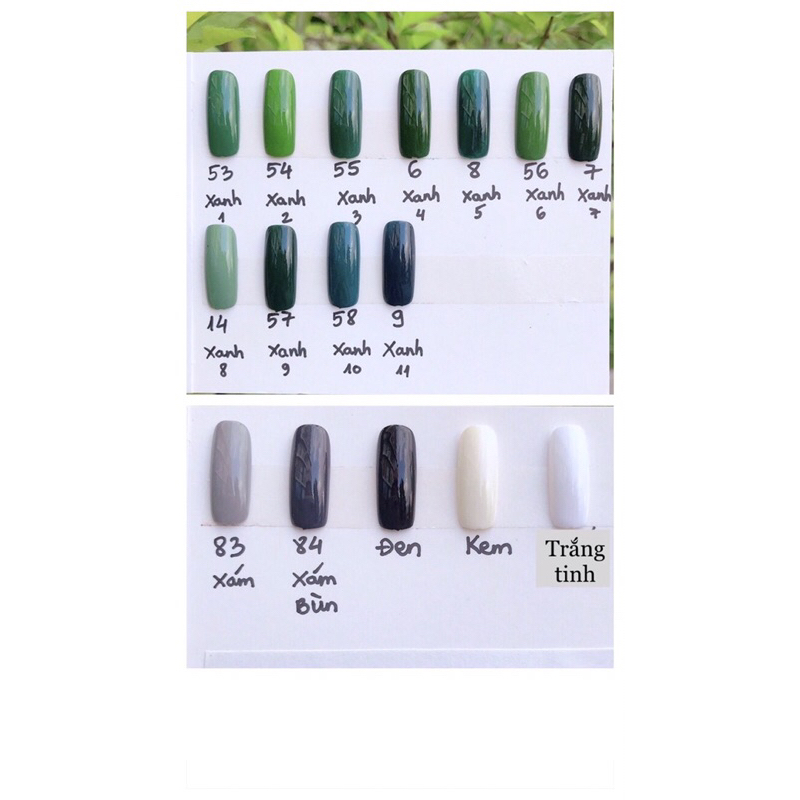 Nailbox Chân Sơn Trơn Màu Trắng Kem, Trắng Sữa, Trắng Tinh,..và Nhiều màu