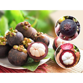 Siro măng cụt