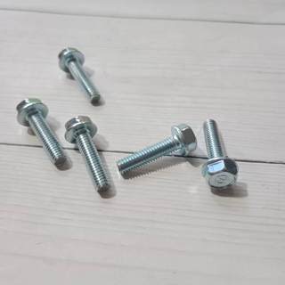 5 con ốc 6 li dài 24mm giác 10 / ốc 6 li xe máy