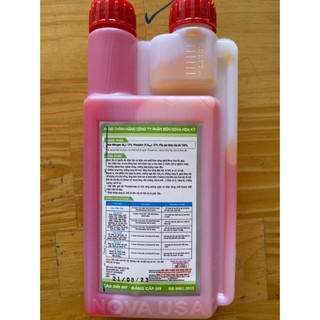 Siêu Lân Đỏ- Nova Hoa Kỳ, Lân đỏ tạo mầm