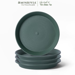 Đĩa lót chậu nhựa trồng cây MONROVIA, cho cây cảnh, hoa hồng, thiết kế tinh tế, tiêu chuẩn Châu Âu