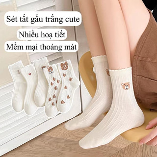 Set 5 Đôi Tất Nữ Cổ Cao Gấu Trắng Chữ B Phong Cách Hàn Quốc HOT Bikini tt25