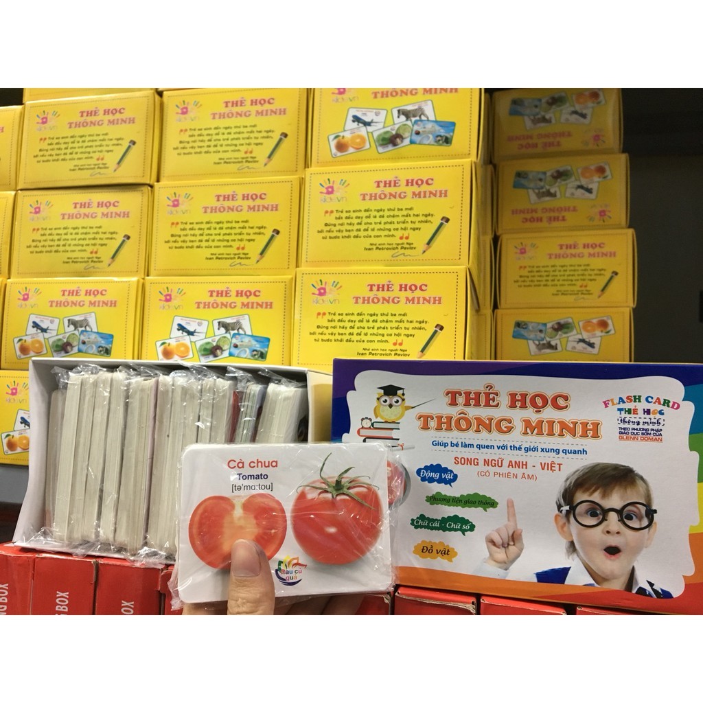 Bộ thẻ học thông minh 16 chủ đề 416 thẻ song ngữ Anh Việt cho bé Glen Doman
