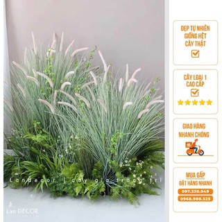 Cành lau giả trang trí - Cây giả trang trí nhà đẹp như thật, set up studio cho cửa hàng ấn tượng, thu hút Lan Decor