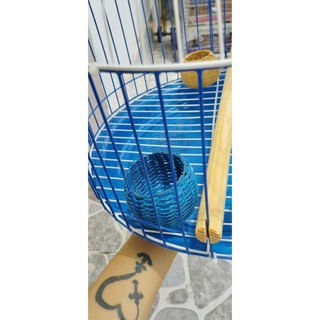 Rọ cước đựng lúa, kê cho chim cu gáy
