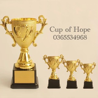 Cúp vàng c-007 kỷ niệm chương vàng lưu niệm cúp bóng đá thể thao cup lưu niệm pha lê cờ giá rẻ xịn huy chương vàng