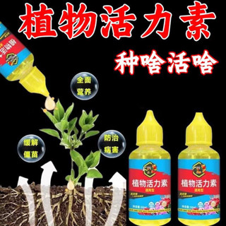Thuốc kích thích mọc rễ phục hồi cây yếu, giúp cây tăng trưởng  50ml