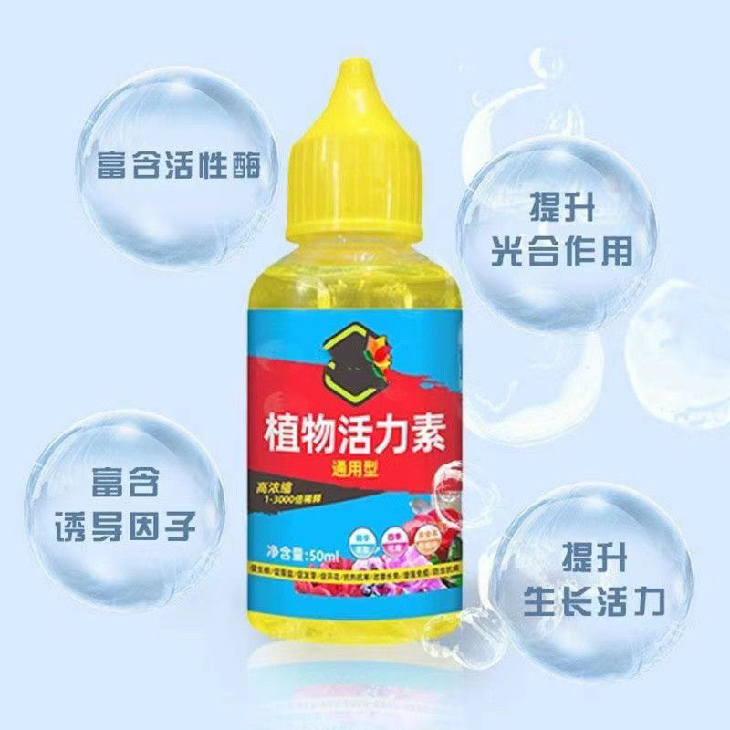 Thuốc kích thích mọc rễ Nhật bản phục hồi cây yếu, giúp cây tăng trưởng  50ml