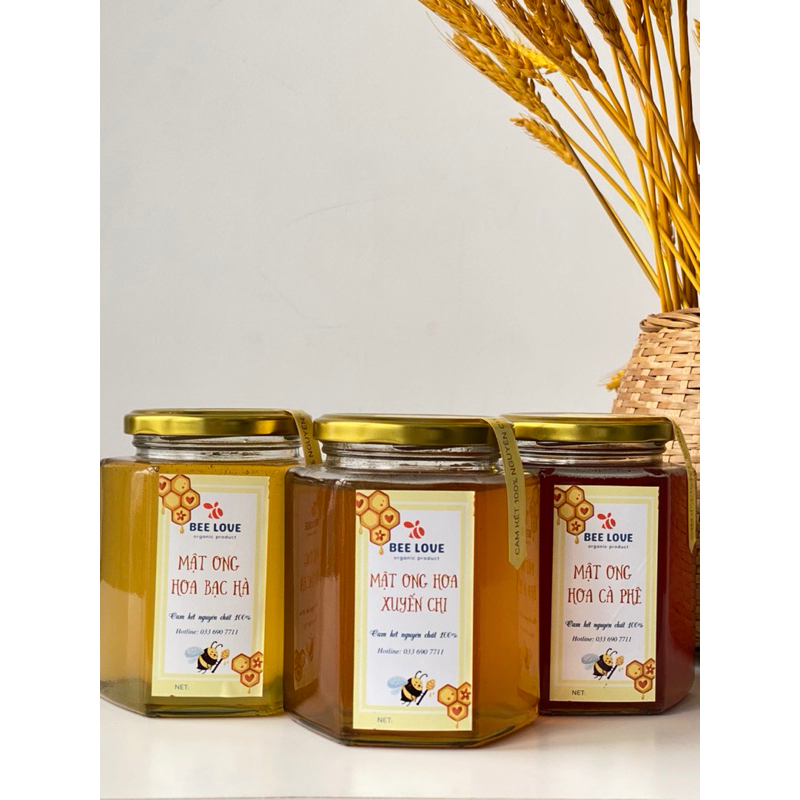 Mật ong nguyên chất hoa xuyến chi BEE LOVE cô đặc, nhà nuôi không qua trung gian, không pha đường hay phụ gia 500ML