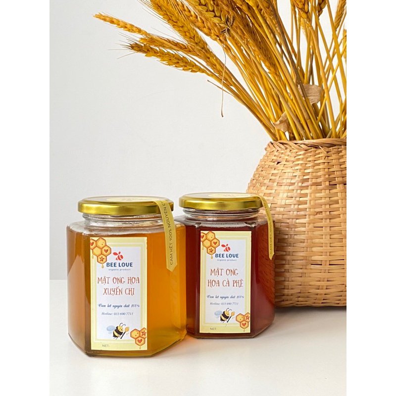 Mật ong nguyên chất hoa xuyến chi BEE LOVE cô đặc, nhà nuôi không qua trung gian, không pha đường hay phụ gia 500ML