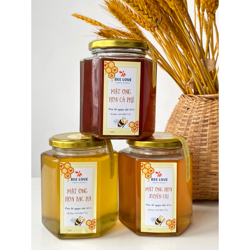Mật ong nguyên chất hoa xuyến chi BEE LOVE cô đặc, nhà nuôi không qua trung gian, không pha đường hay phụ gia 500ML