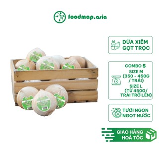 Combo 5 Trái Dừa Xiêm Tươi Ngon Ngọt Nước - FoodMap Fruits