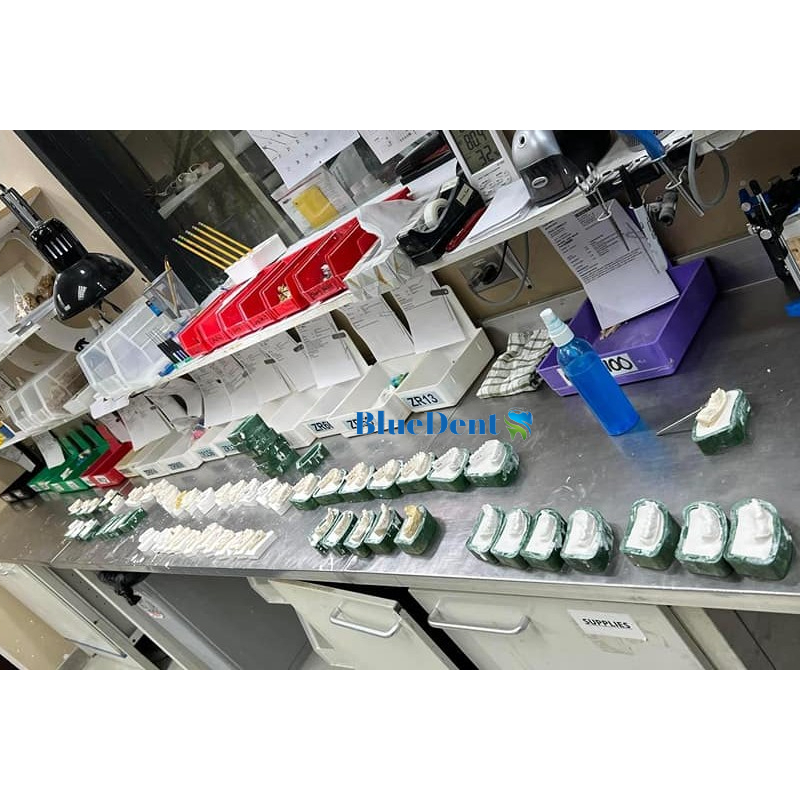 Khay Mun Đế Cao Su Toàn Hàm Bán Hàm Silicon Dẻo Dai Để Đổ Mẫu Đế Mô Hình Thạch Cao Labo Nha Khoa