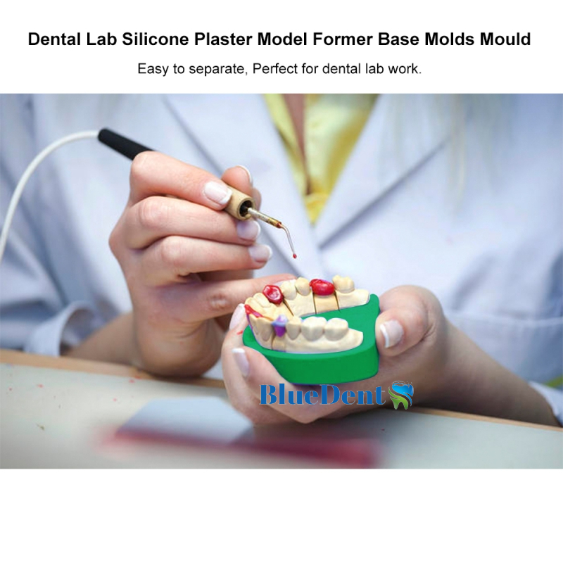 Khay Mun Đế Cao Su Toàn Hàm Bán Hàm Silicon Dẻo Dai Để Đổ Mẫu Đế Mô Hình Thạch Cao Labo Nha Khoa