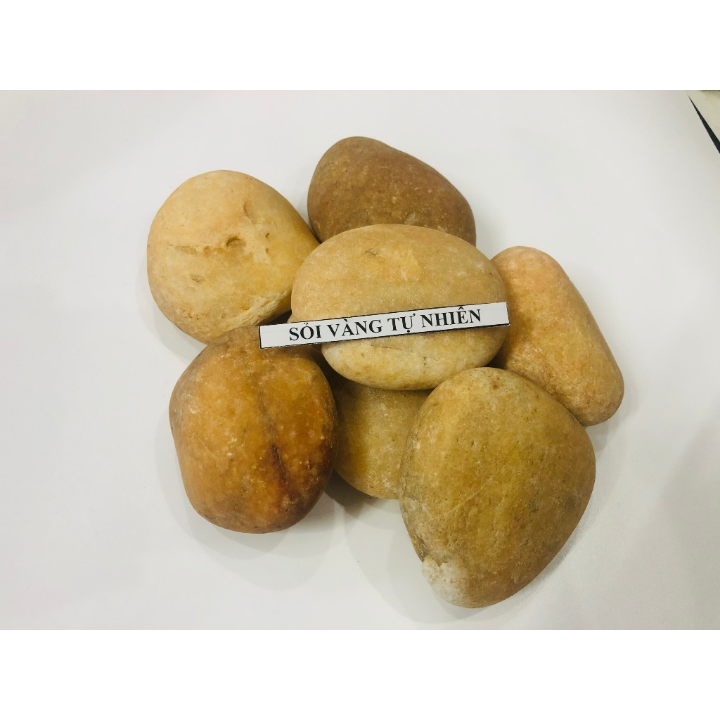 Sỏi biển thiên nhiên - Đá Cuội lọc nước trang trí rãi nền hồ cá