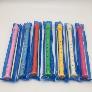 Sáo 8 lỗ Sáo recorder  rẻ nhất thị trờng 8 lỗ phục vụ lớp 4,5,6,7 cho học sinh (tặng kèm túi và que vệ sinh)