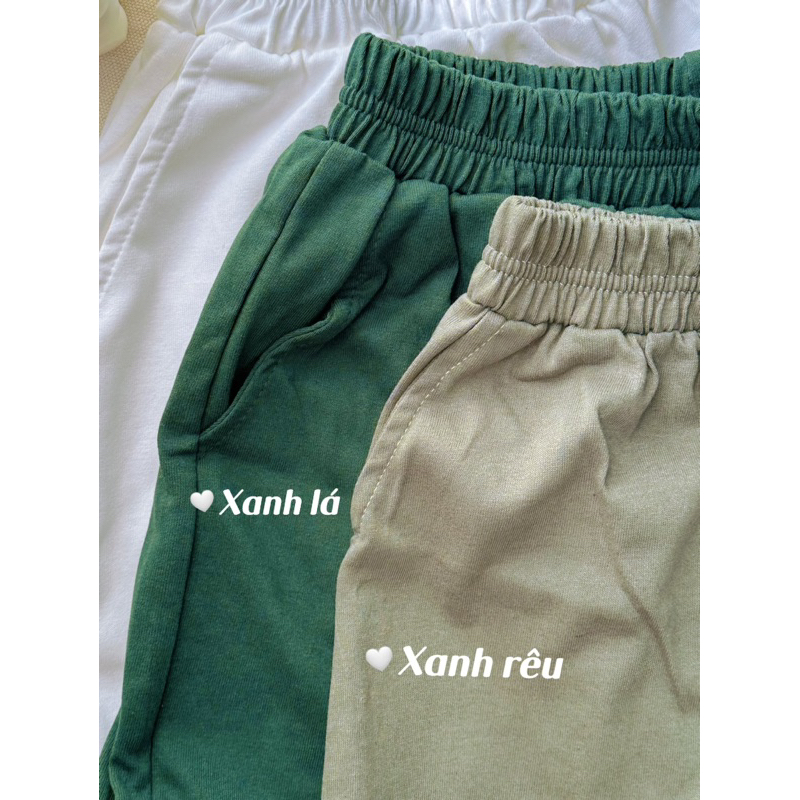 QUẦN SHORT đùi nữ form rộng basic có túi, chất cotton khô 3158 freesize <65kg | BigBuy360 - bigbuy360.vn